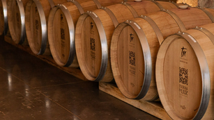 TIERRA DE LUZ, UNA EXPERIENCIA ENOLÓGICA EN LEÓN, GUANAJUATO