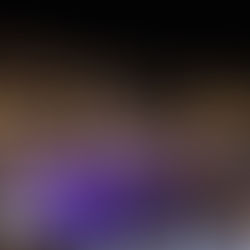 VIVE LA EXPERIENCIA UN LIMITED LUXURY DE FIN DE AÑO EN DREAMS ESTRELLA DEL MAR MAZATLÁN