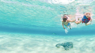 DESCUBRE LAS RAZONES PARA VISITAR ISLAS CAIMÁN ESTE 2022