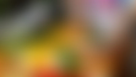 SITIOS LOCALES PARA DISFRUTAR LA GASTRONOMÍA ORIUNDA EN SU MÁXIMA EXPRESIÓN