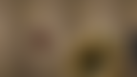 LA NAVIDAD FLORECE ENTRE LOS MUROS DEL LEGENDARIOMANDARIN ORIENTAL RITZ DE MADRID