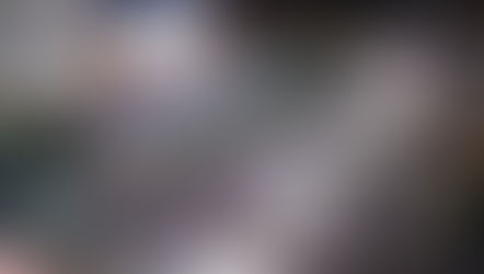 GREATER MIAMI CONVENTION & VISITORS BUREAU (GMCVB)...