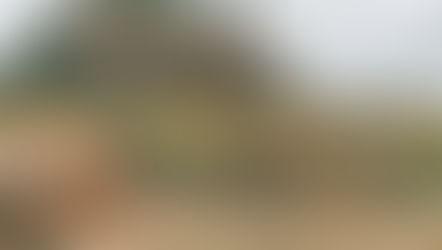 DISFRUTE EN CENTRAL FLORIDA DE FESTIVALES DE OTOÑO Y EVENTOS DE HALLOWEEN 