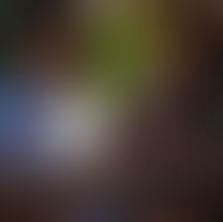 EL VIÑEDO CASA VAZQUEÑO, EN CHIHUAHUA, TRABAJA EN AMBICIOSO PROYECTO TURÍSTICO