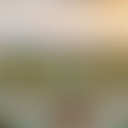 HARD ROCK HOTEL & CASINO PUNTA CANA,15 AÑOS MARCANDO EL RITMO DEL CARIBE