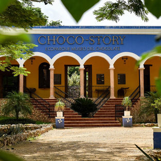 RITUALES: EL CACAO Y EL CHOCOLATE EN LA CULTURA MAYA