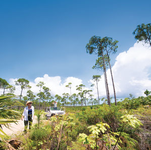 ¡EN LAS BAHAMAS, EL PARAÍSO TAMBIÉN ES SOSTENIBLE!