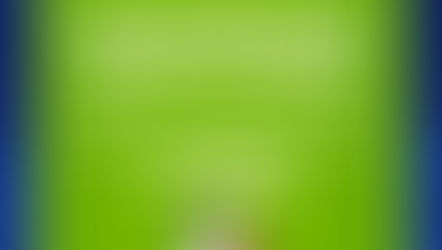 TIPS PARA VIAJAR CON TU PERRO A LOS MEJORES DESTINOS DE MÉXICO