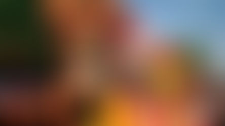 MORELOS SE CONSOLIDA COMO DESTINO SOSTENIBLE