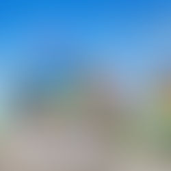 POR MÁS DÍAS DE SOL Y DIVERSIÓN: EXTIENDA SUS VACACIONES EN CENTRAL FLORIDA