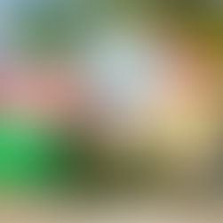 NICKELODEON HOTELS & RESORTS PUNTA CANA PRESENTA: EL MEJOR REGALO DE NAVIDAD — SLIME Y SOL EN EL CARIBE