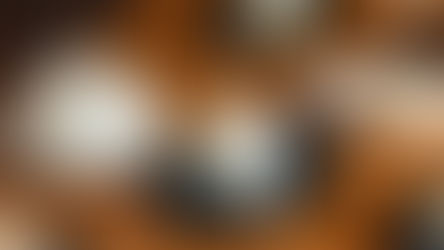 QUERÉTARO, TIERRA DE LOS MEJORES QUESOS