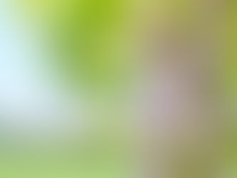 2018年5月のクラス予定