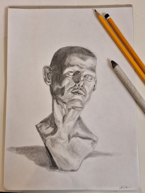 Statue Study