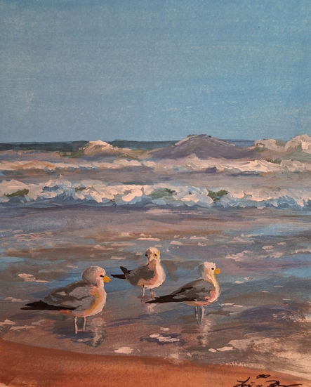 Beach Seagulls
