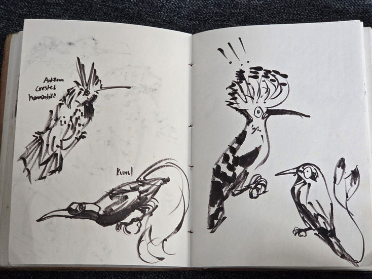 Stylized Bird Studies