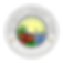 Circular logo with Portsmouth’s iconic waterfront, showing red-brick buildings, a white steeple, and a bridge over water with a large yellow sun rising behind it. Text reads “Portsmouth Community Power – City of Portsmouth NH.”