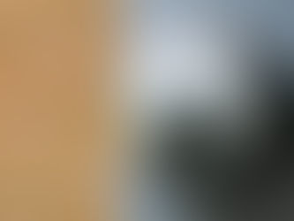 An Explanation of CPCNH's Customer Refresh Policy