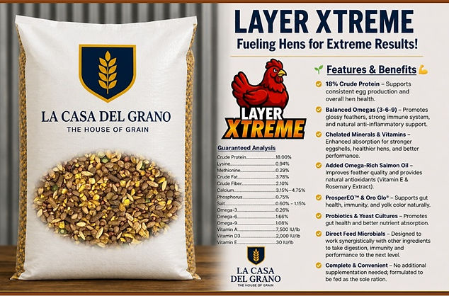 LAYER.jpg