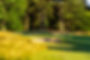 BrookmeadowFinal-73.jpg