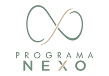 PRG NEXO logo D.png