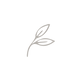 fOLHAS WHATSAPP_edited.png