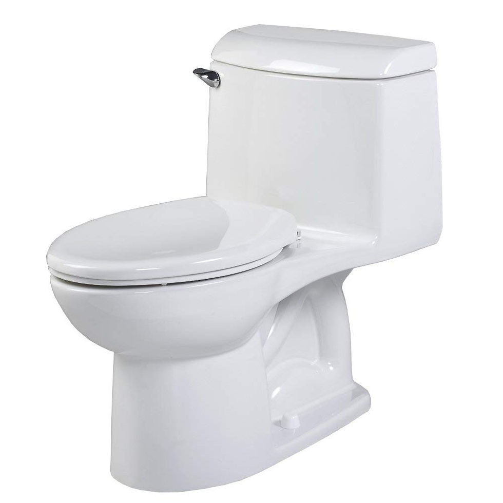 Best Flushing Toilet