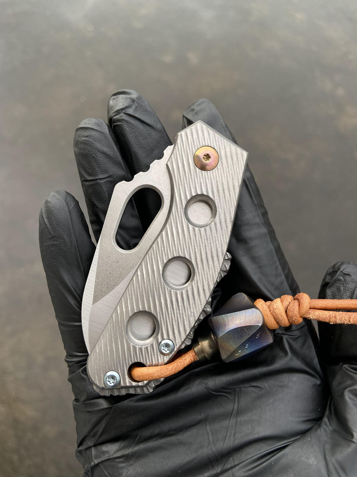 T-Rex Limited 017/198