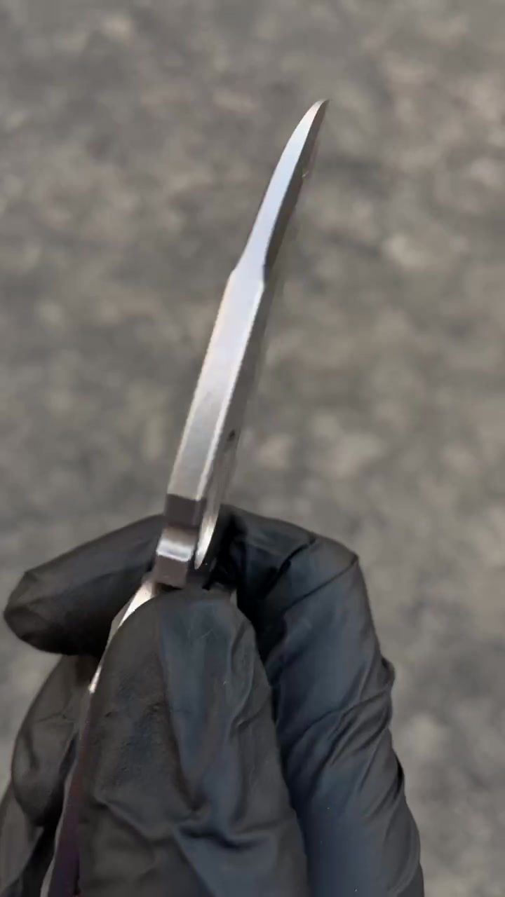 Thumbnail: Parrot #84