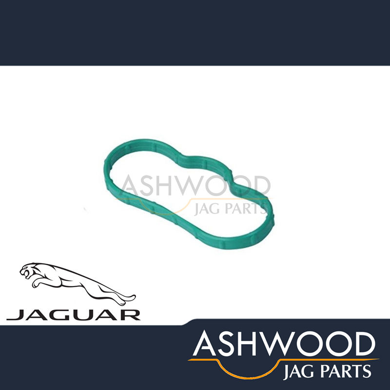 Inlet Manifold Gasket Lower Jaguar X-Type 2.5 3.0 V6 (2001-10) JAGUAR - XR843533