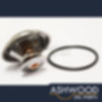 Thermostat Jaguar XJ XJR 3.2 + 4.0 V8 (1998-2003) MOTORAD - AJ86484