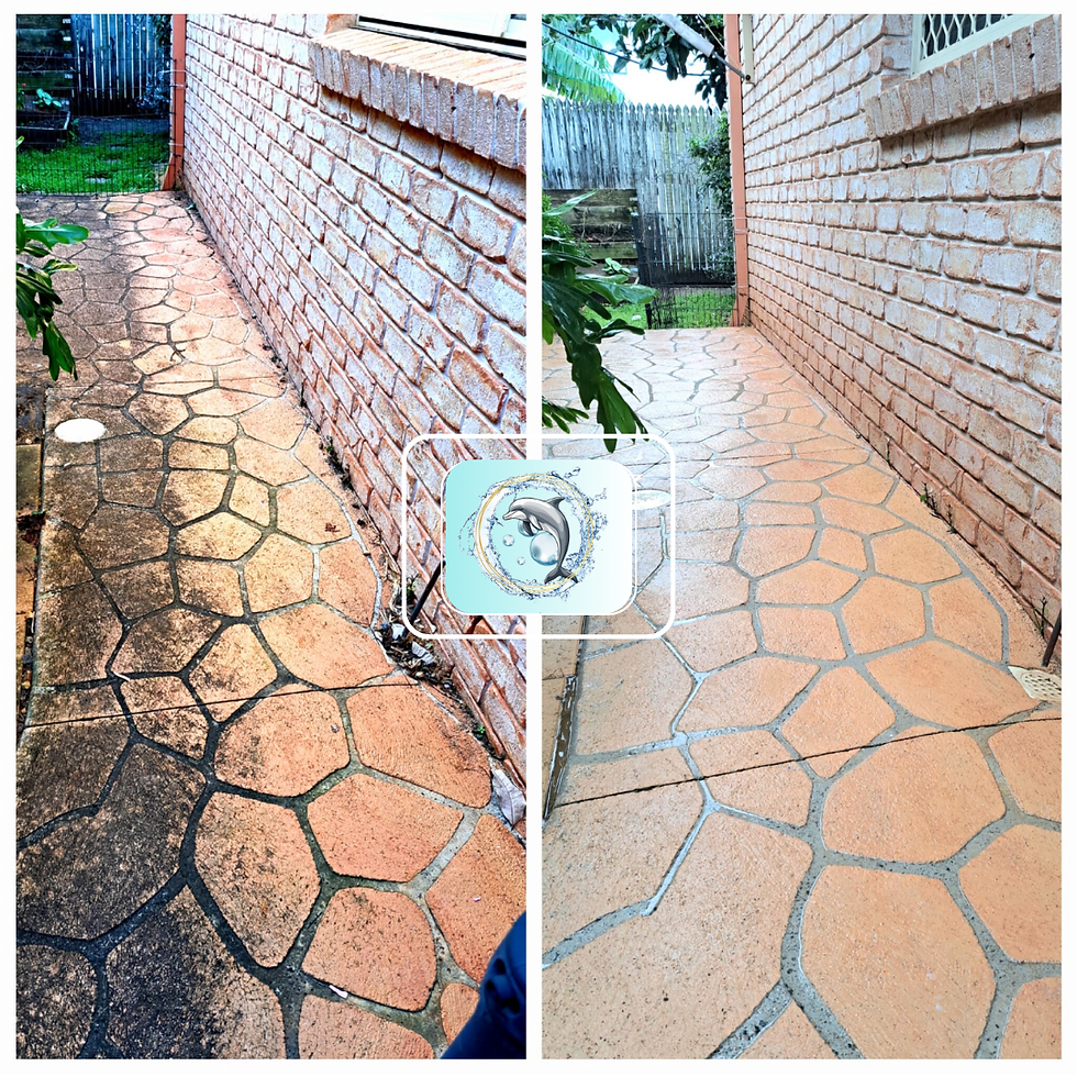 pressure washed pathways around the house before and after
