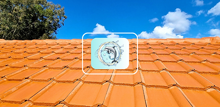 clean roof after soft washing
