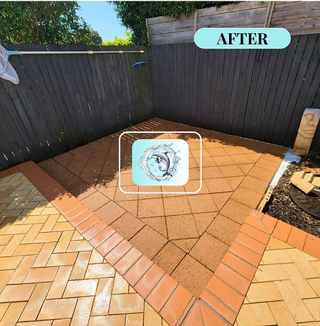 clean pool area in brisbane home
