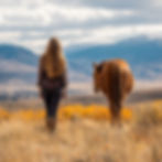 Equine Insight at 700 E St suite 205, San Rafael, CA 94901, USA