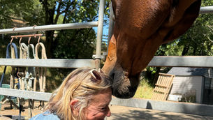 Tending Your Inner Ecology with Equine Wisdom