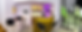 IMG_1729_edited.png