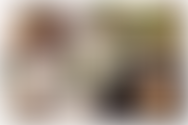 Mental Clutter Is the New Health Crisis