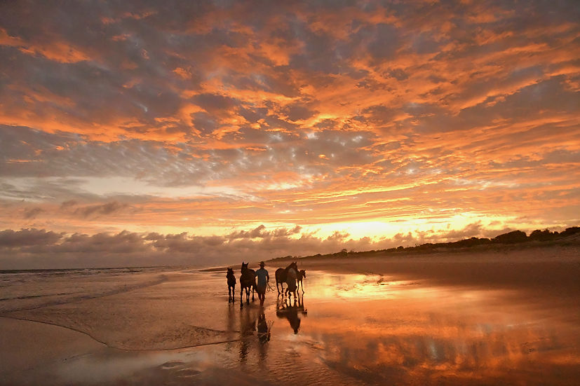 long distance sunset with horses.jpg