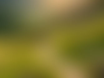 Weight Loss in Pikeville: A Personalized Approach to Better Health