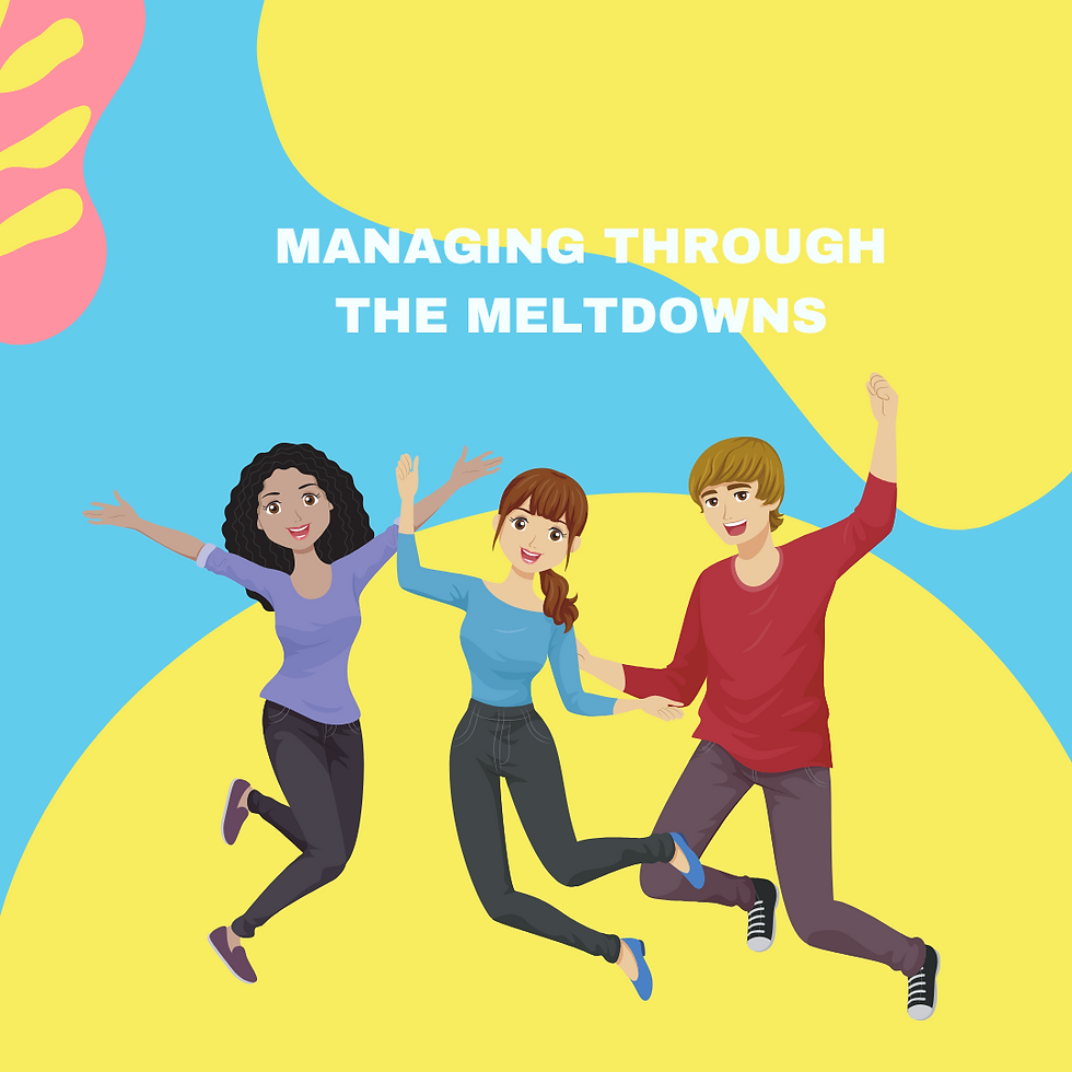 Managing Through the Meltdowns Parent Group