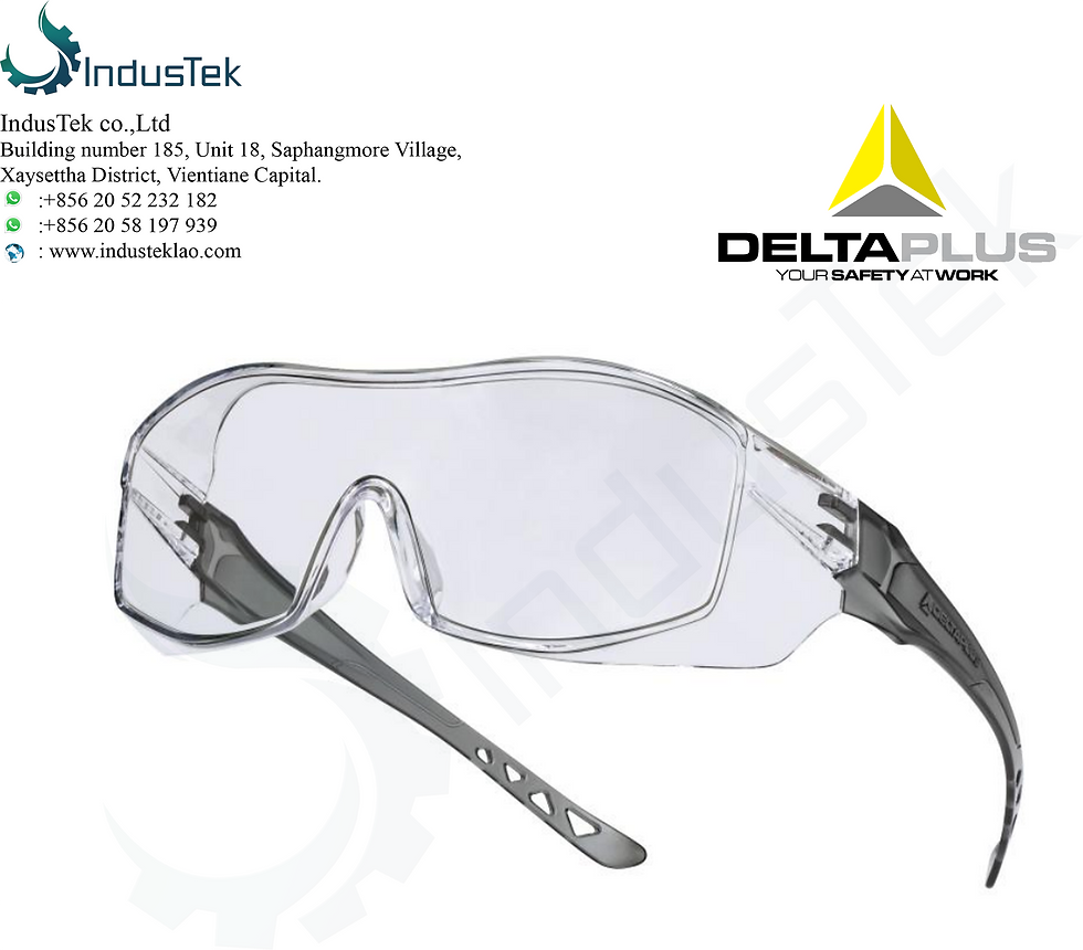 Delta Plus HEKLA 2 Clear Safety Goggles