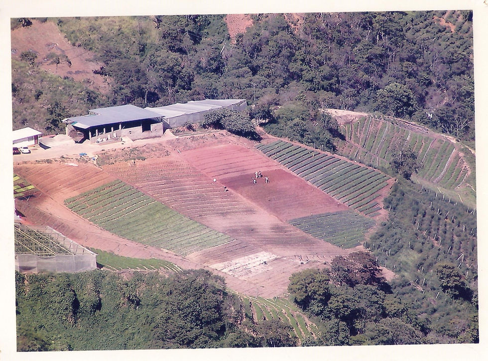 Vista general mediados años 90