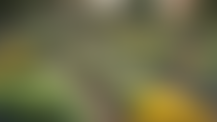 Support Community Development: Donate Now