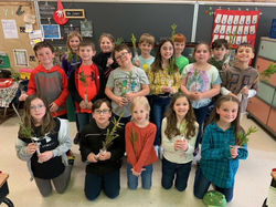 Seedling - 2 (5)