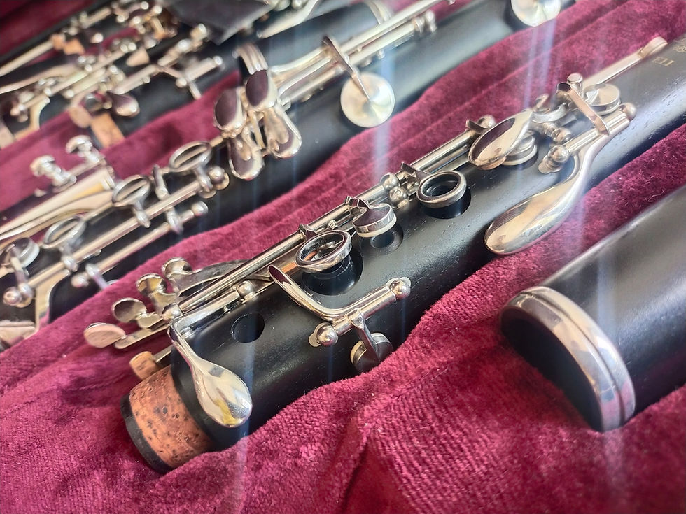 Location d’instruments à vent pour la rentrée scolaire à Valence : le guide complet