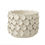 Thumbnail: Petal  Flower Pot  White Vase 