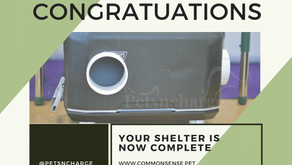 Your DIY Cat Shelter Is Complete!