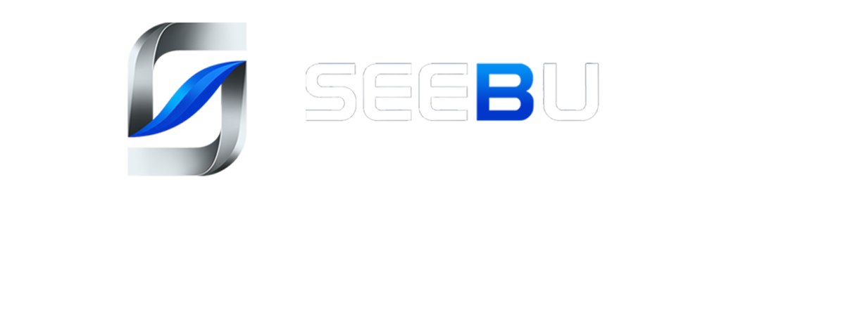 Seebuy Solutions