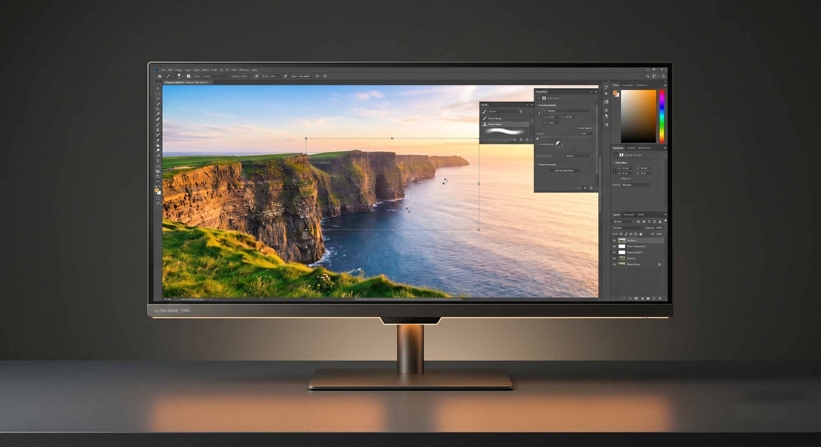 Professional Monitors